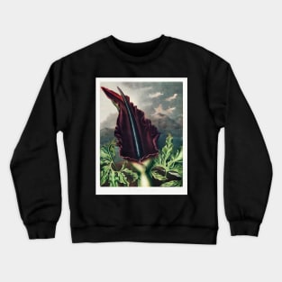 The Dragon Arum Crewneck Sweatshirt